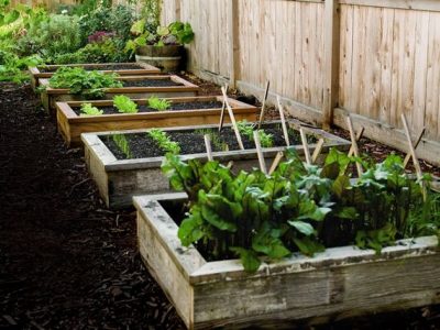 Cool DIY Raised Garden Bed Ideas