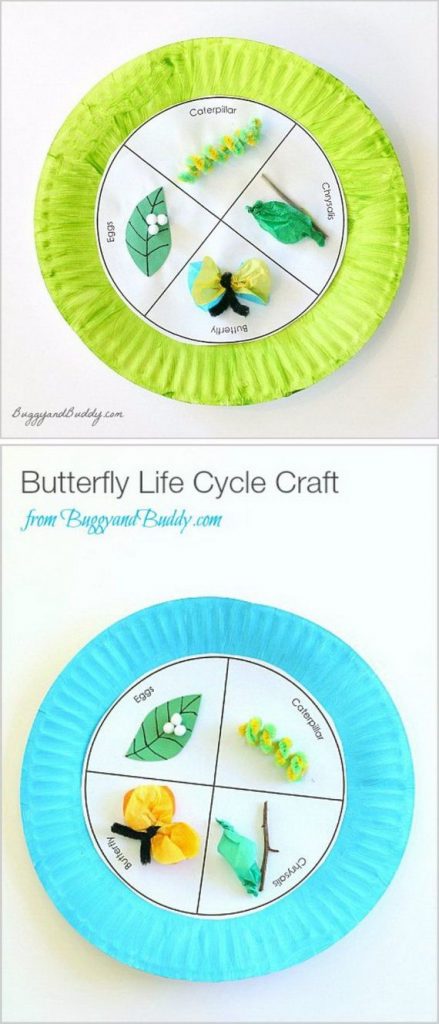 Amazing Life Cycle Projects for Kids