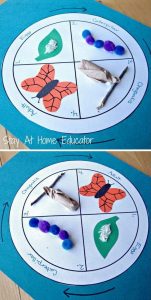 Amazing Life Cycle Projects for Kids