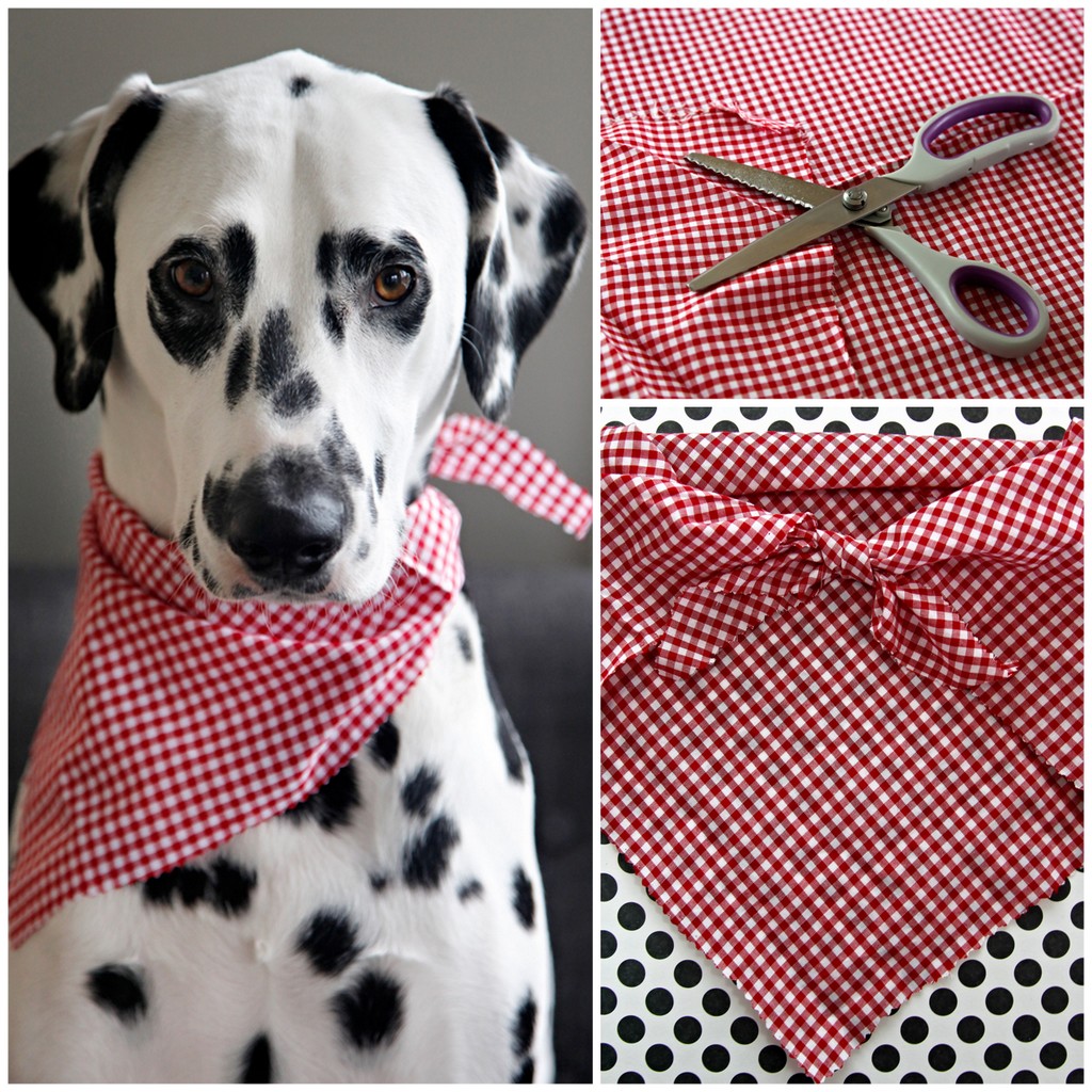 how to make a dog scarf